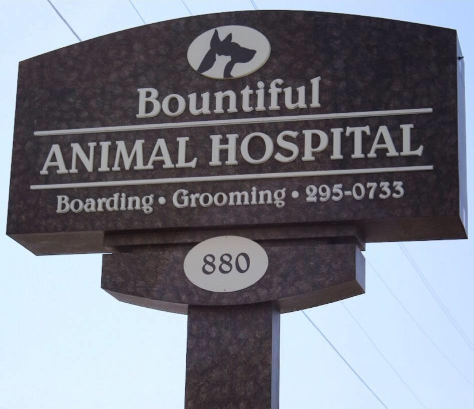 Veterinarian in Bountiful, UT